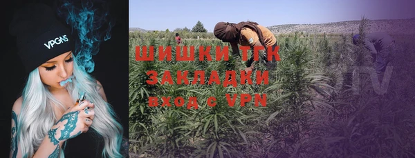 прущая мука Нея