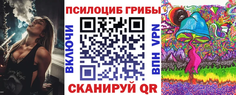 закладка  Берёзовка  мега как зайти  Галлюциногенные грибы ЛСД 